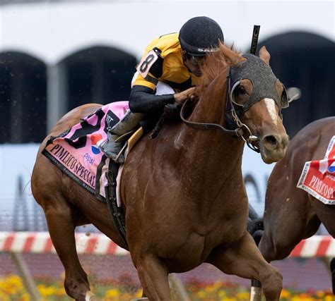 drf results entries|Daily Horse Racing Results .